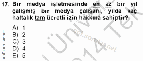 Soru 17