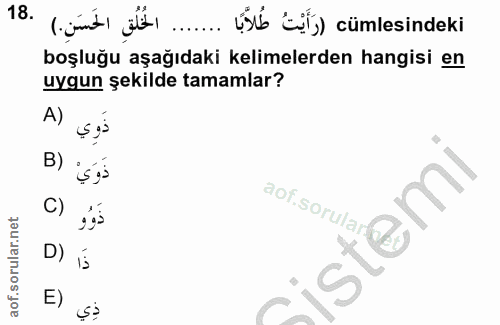 Soru 18