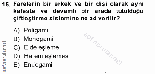 Soru 15