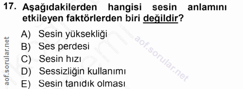 Soru 17