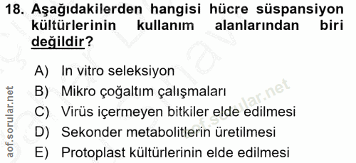 Soru 18