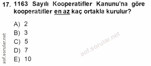 Soru 17