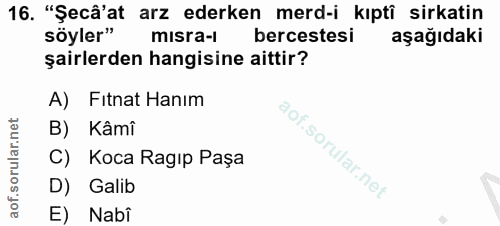 Soru 16