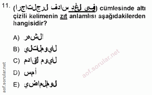 Soru 11