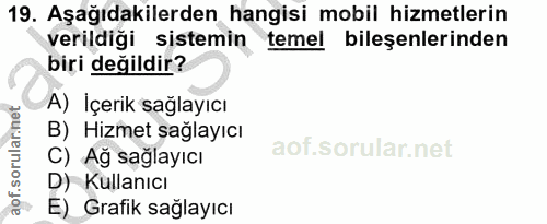 Soru 19