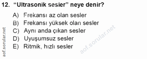 Soru 12
