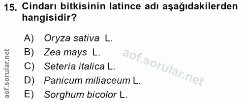 Soru 15