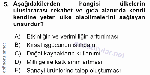 Soru 5