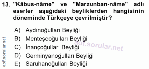 Soru 13