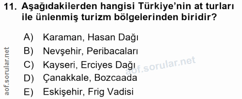 Soru 11