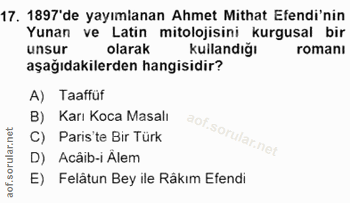 Soru 17