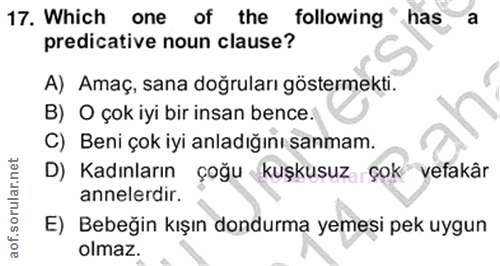 Soru 17