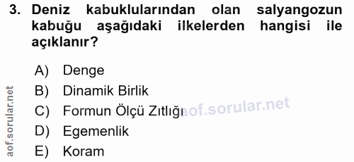Soru 3