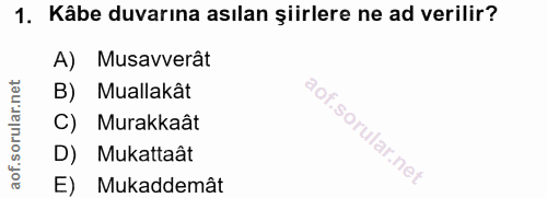 Soru 1