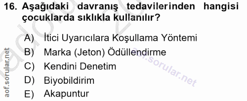 Soru 16