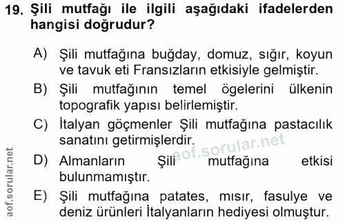 Soru 19