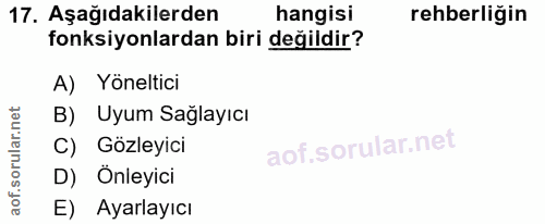 Soru 17