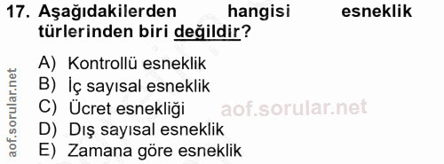 Soru 17