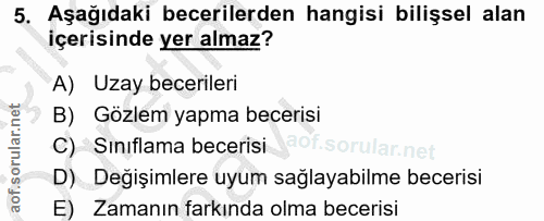 Soru 5