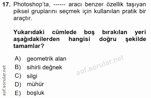 Soru 17