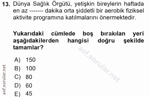Soru 13