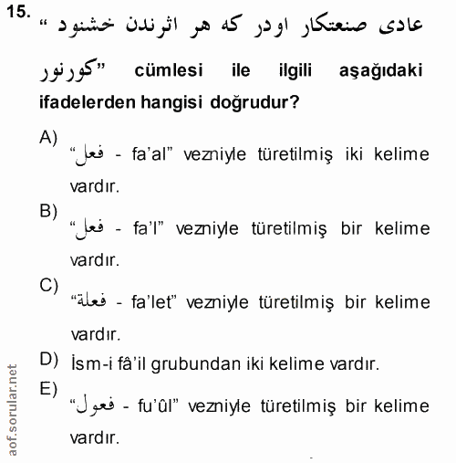 Soru 15