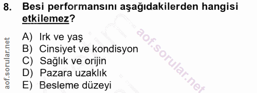 Soru 8