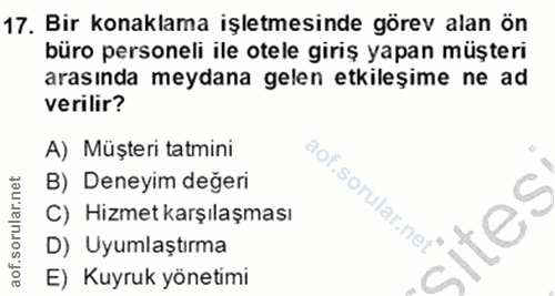 Soru 17