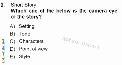 Soru 2