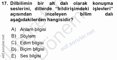 Soru 17