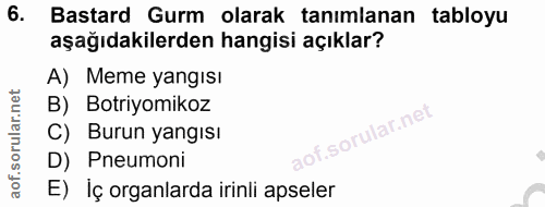 Soru 6
