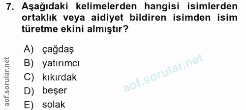 Soru 7