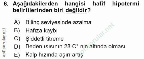 Soru 6