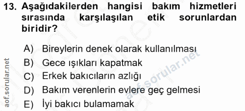 Soru 13