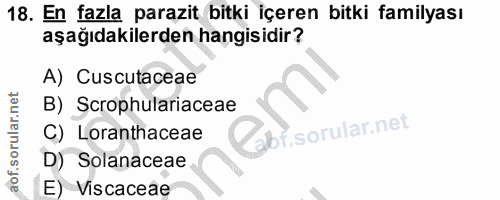 Soru 18