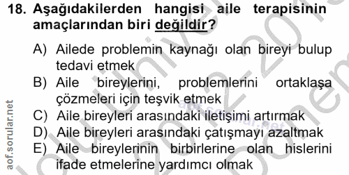 Soru 18