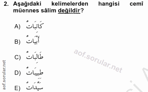 Soru 2