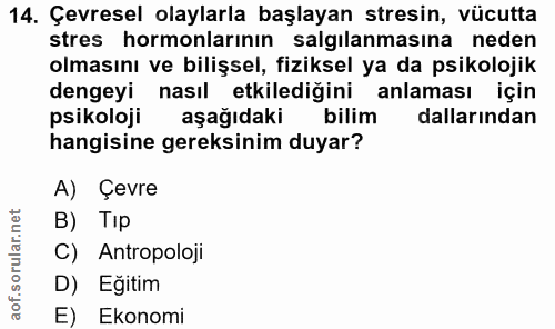 Soru 14