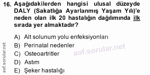 Soru 16