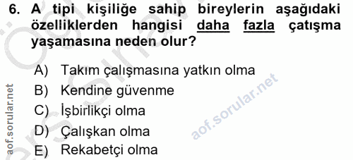 Soru 6