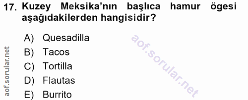 Soru 17
