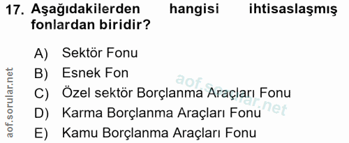 Soru 17