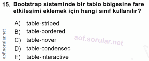 Soru 15