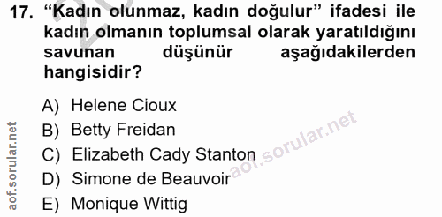 Soru 17