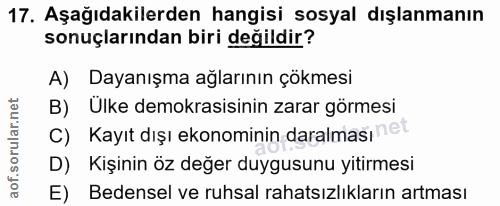 Soru 17
