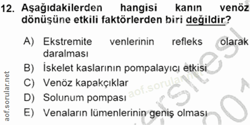 Soru 12