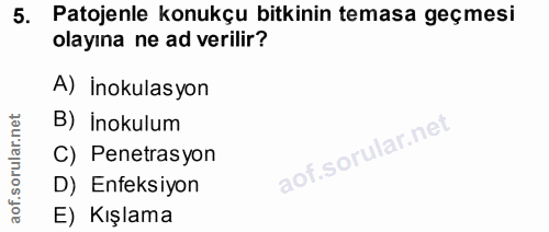 Soru 5
