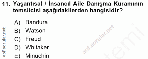 Soru 11