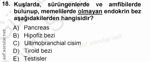Soru 18