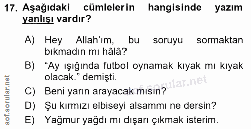Soru 17